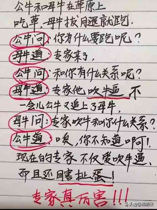 跟女朋友聊天文案：1000字 短句 简短撰写 搞笑幽默集锦