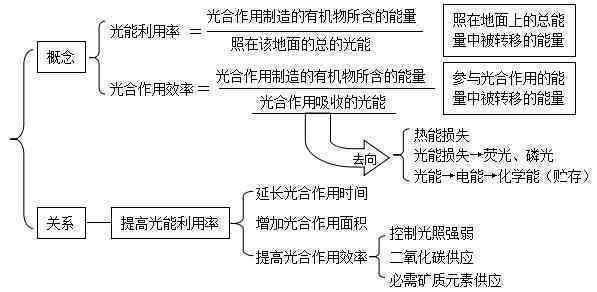 代谢的话术：探讨方法、流程、关键词汇与诗意表达
