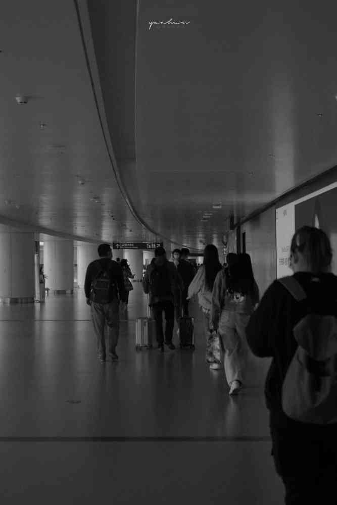 全方位攻略：如何撰写吸引眼球的旅游推广文案与营销策略