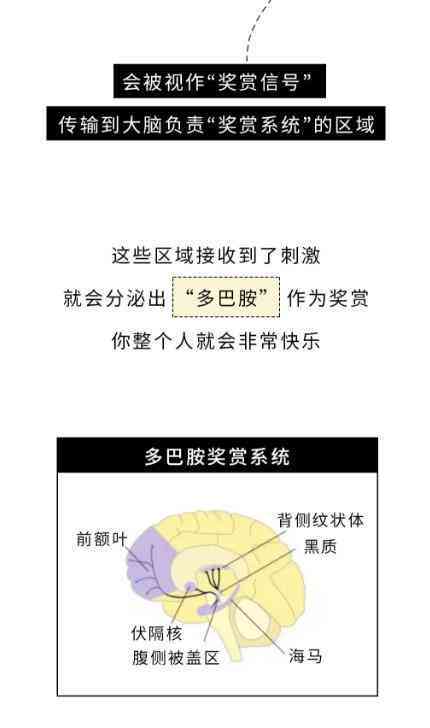 关于多巴胺的微信文案：揭秘多巴胺魅力，分享说说新意