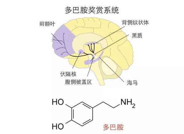 ai体验多巴胺文案