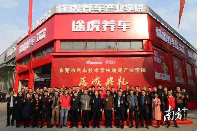 AI实训心得体会与技能提升总结：全面攻略与实用建议
