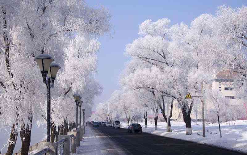 绘画之韵：初雪文案怎么撰写才更显唯美与好看