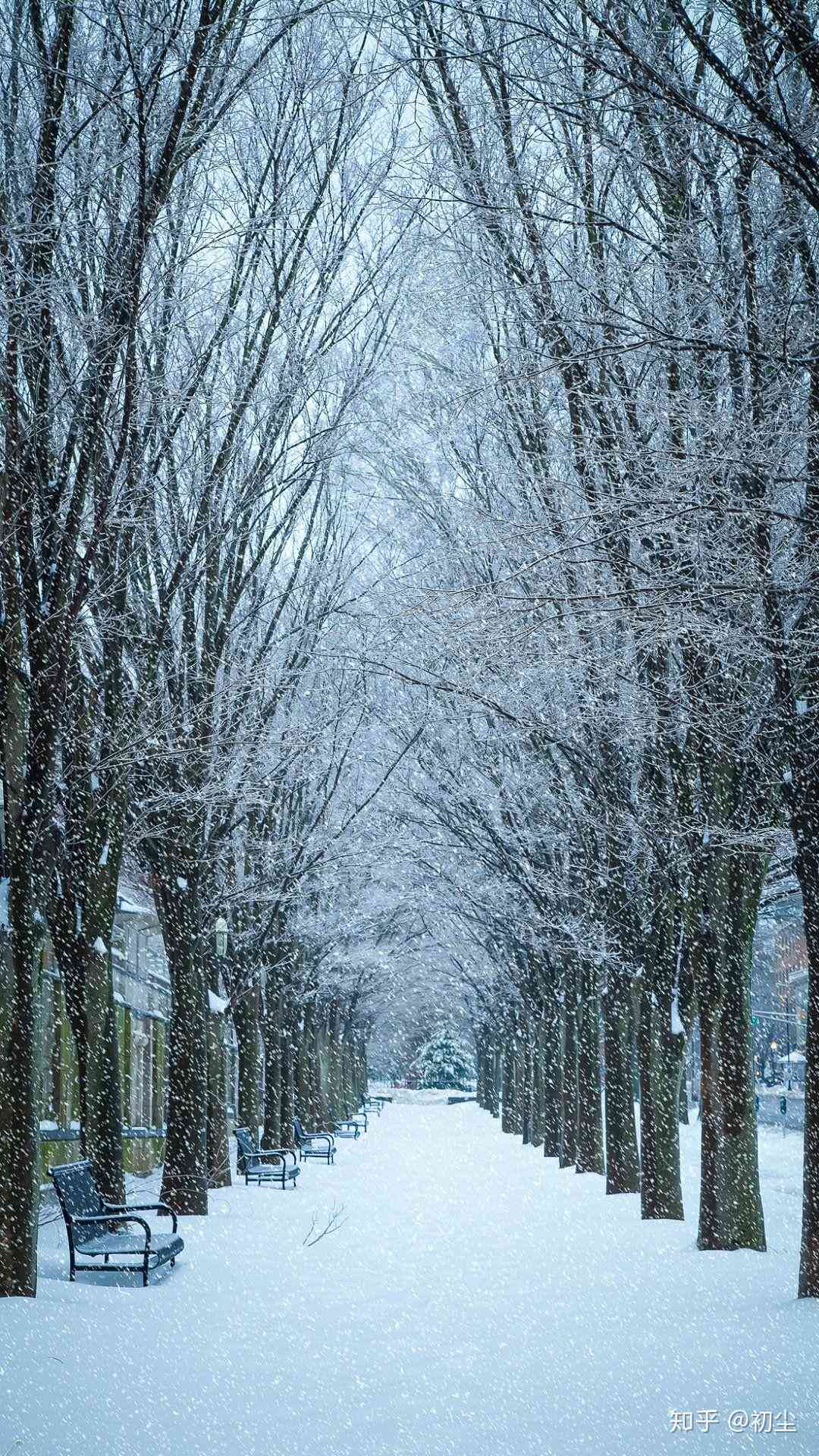 绘画之韵：初雪文案怎么撰写才更显唯美与好看