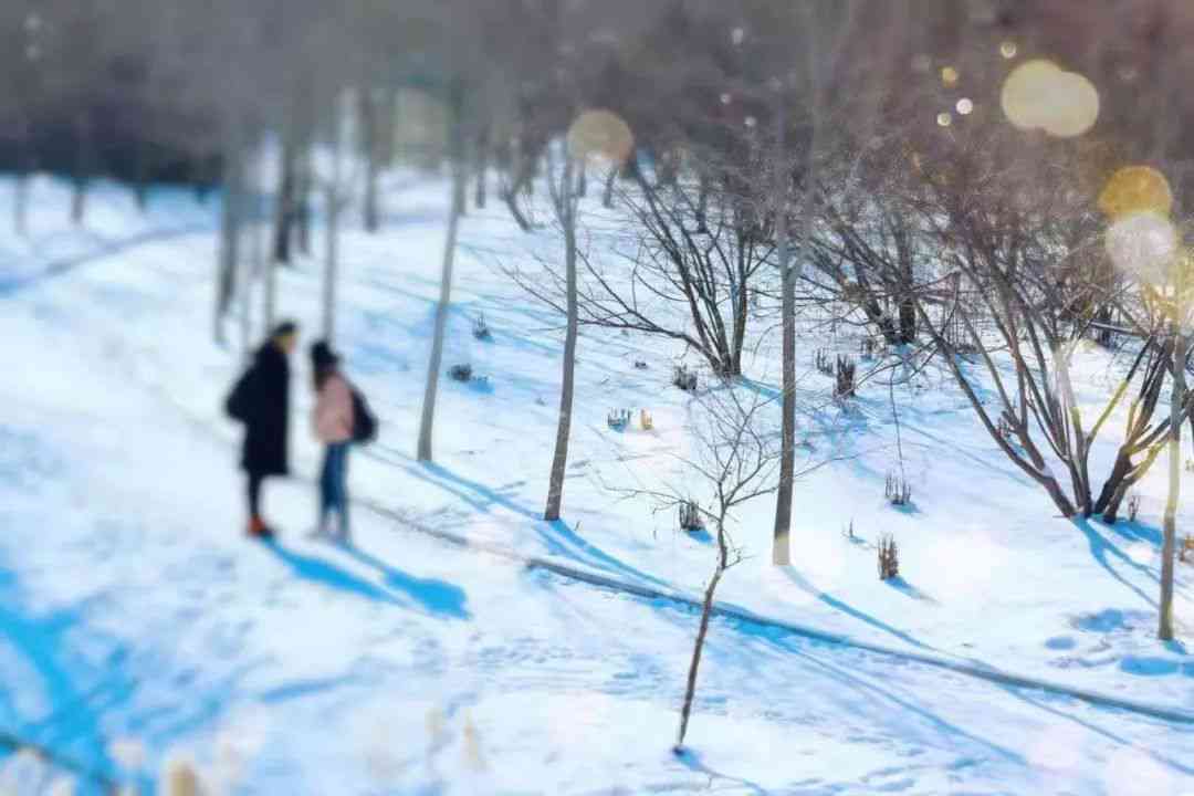 在这冬天，初雪文案浪漫绽放，让人感受美好雪花带来的馨时刻