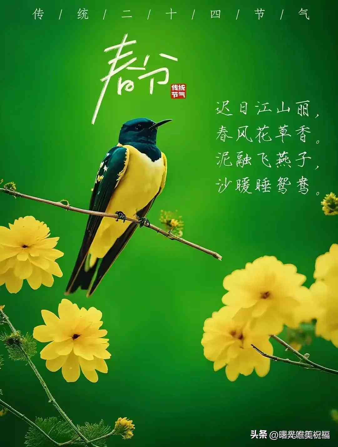探索2024最新免费AI文案创作工具：全方位盘点，满足各类创作需求