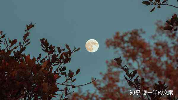 月亮月亮文案：短句干净、简短文案、句子柔、长句柔情