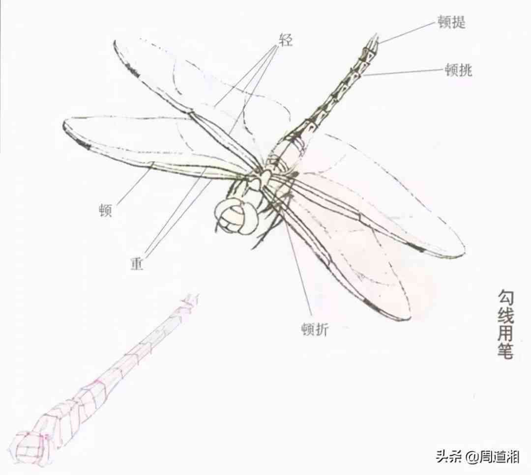 蜻蜓AI写作官网与介绍：蜻蜓笔写作体验评价