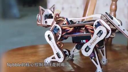 小川猫仿生机器人：引领全球大猫保护新篇章