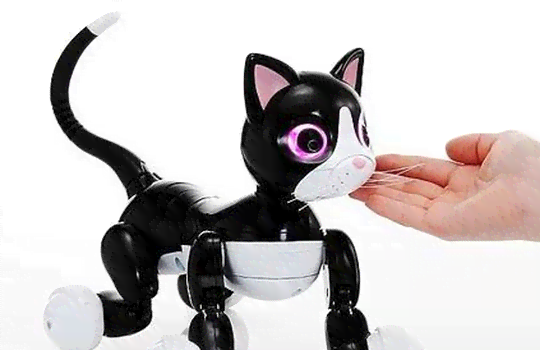 小川猫仿生机器人：引领全球大猫保护新篇章