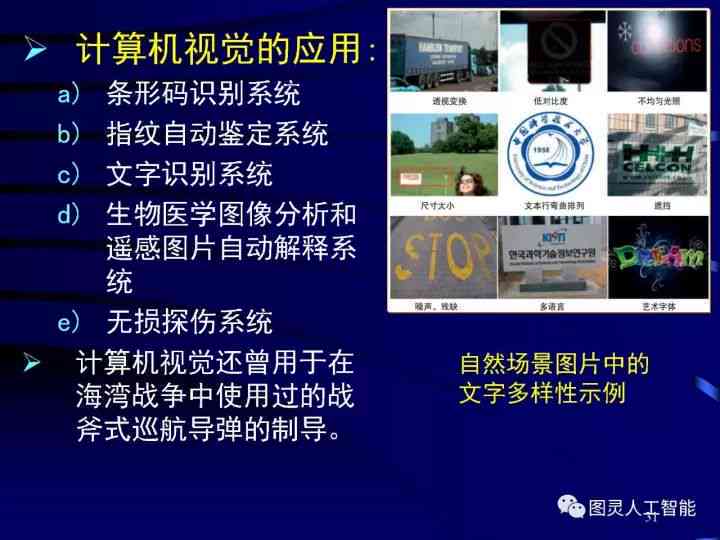 探索猫智能化的全方位应用与进展