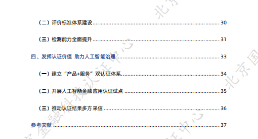 ai评估报告编写规范要求
