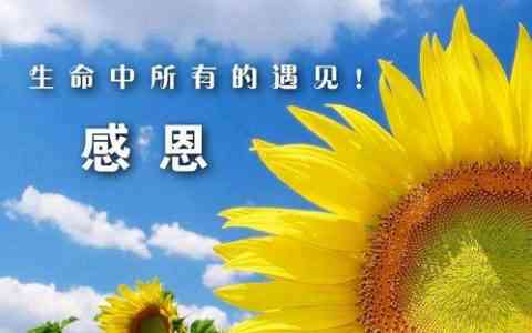 感谢强大朋友圈的句子：简短表达、说说汇编，感恩自我成长