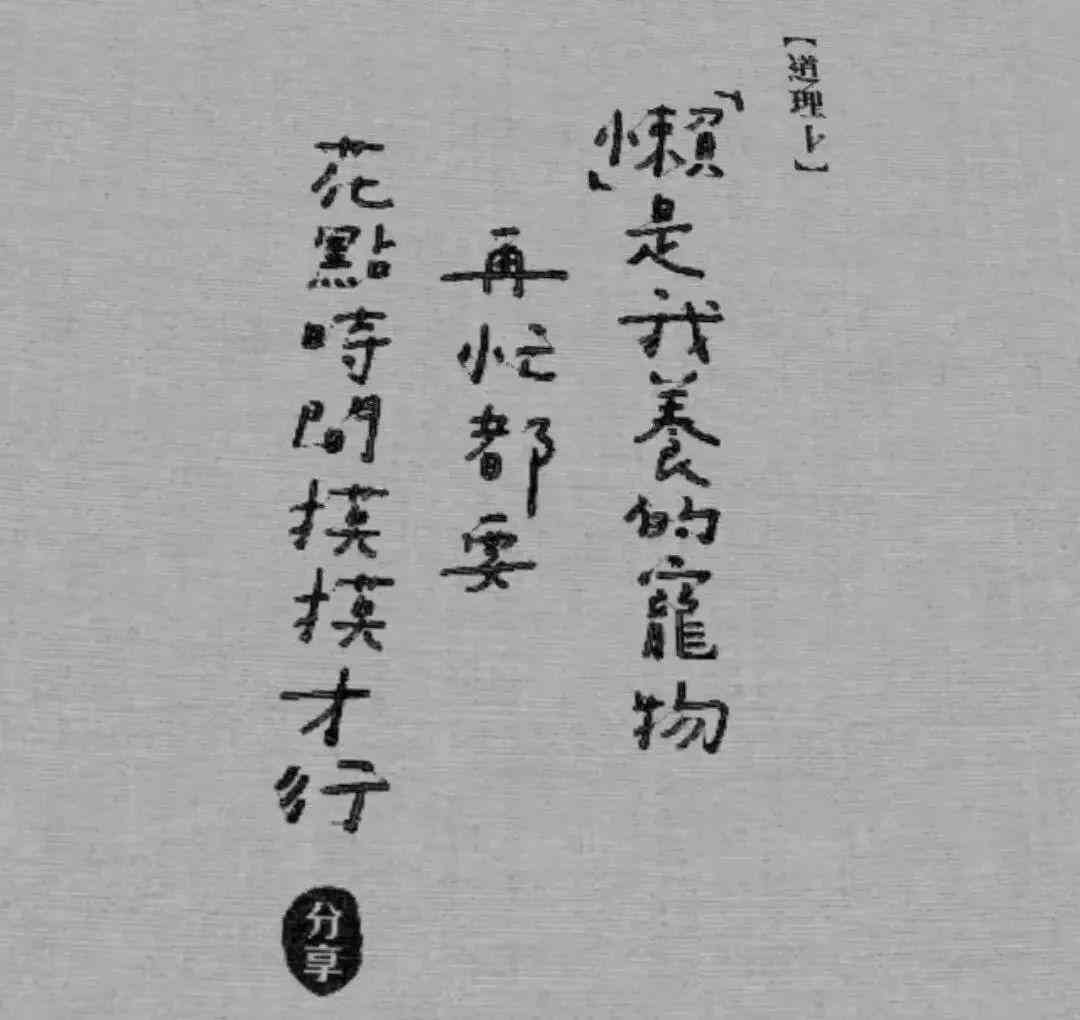 精选宠物治愈文案：暖短句汇编，全方位治愈你的心灵