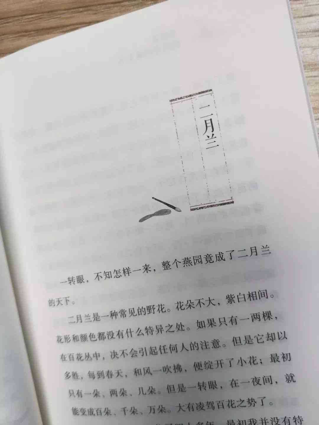 AI写作助手：全面解决内容创作、文章润色与写作技巧相关问题