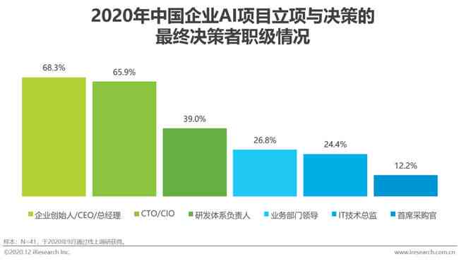 ai项目汇报