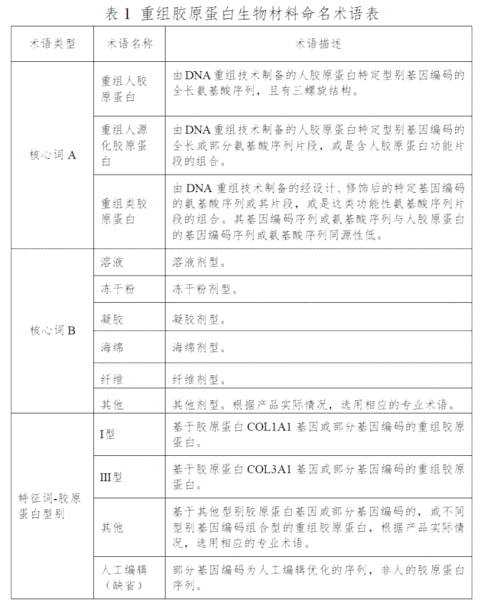生物蛋白质结构与功能预测实验报告及总结：蛋白结构预测与验证探究