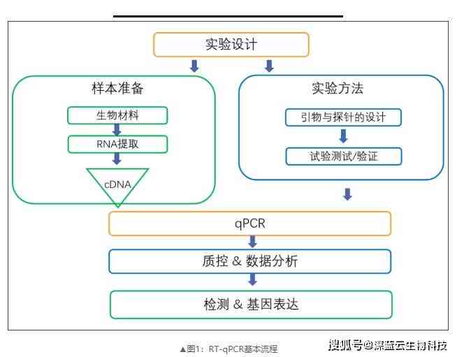 深入解析AI模切板制作全流程：从设计到实践全方位指南