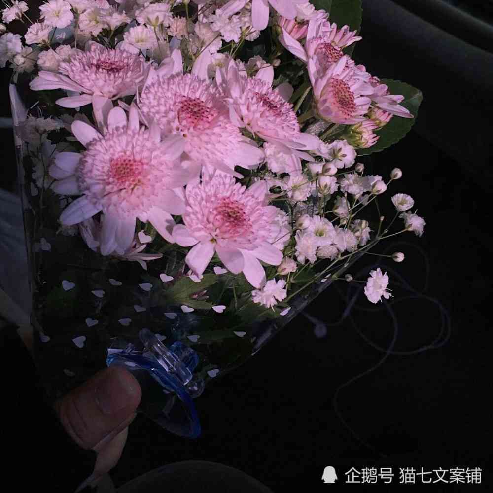簪花之美，文案分享 —— 上干净美丽的朋友圈簪花文案