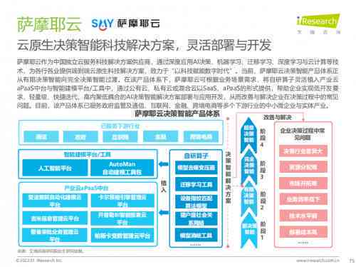 ai决策报告