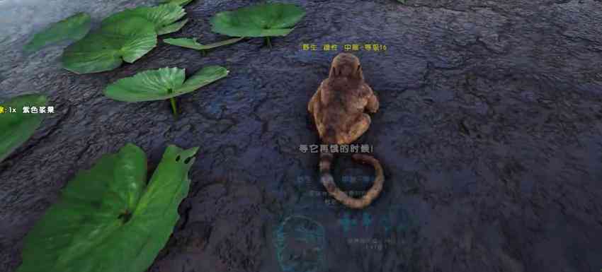 《人类驯服神秘生物简：PDF全录》