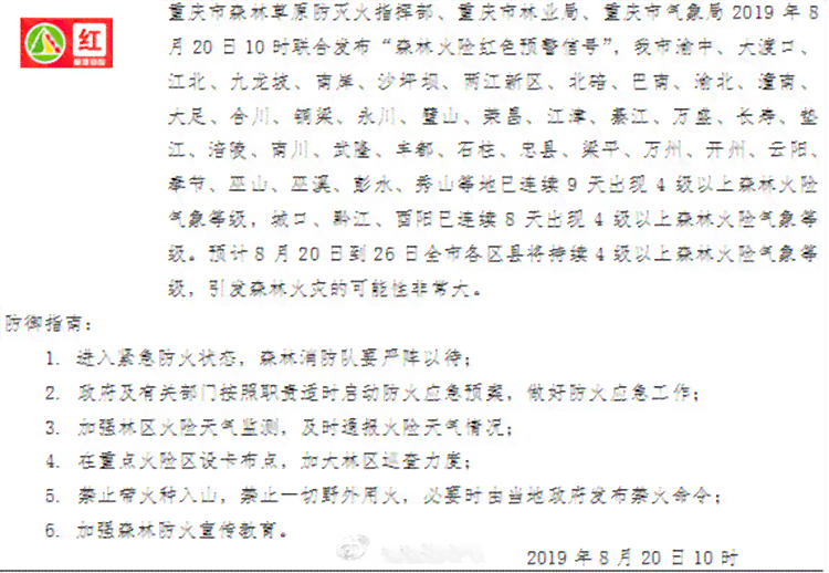 学生社会实践报告：全方位探讨防森林火灾策略与措
