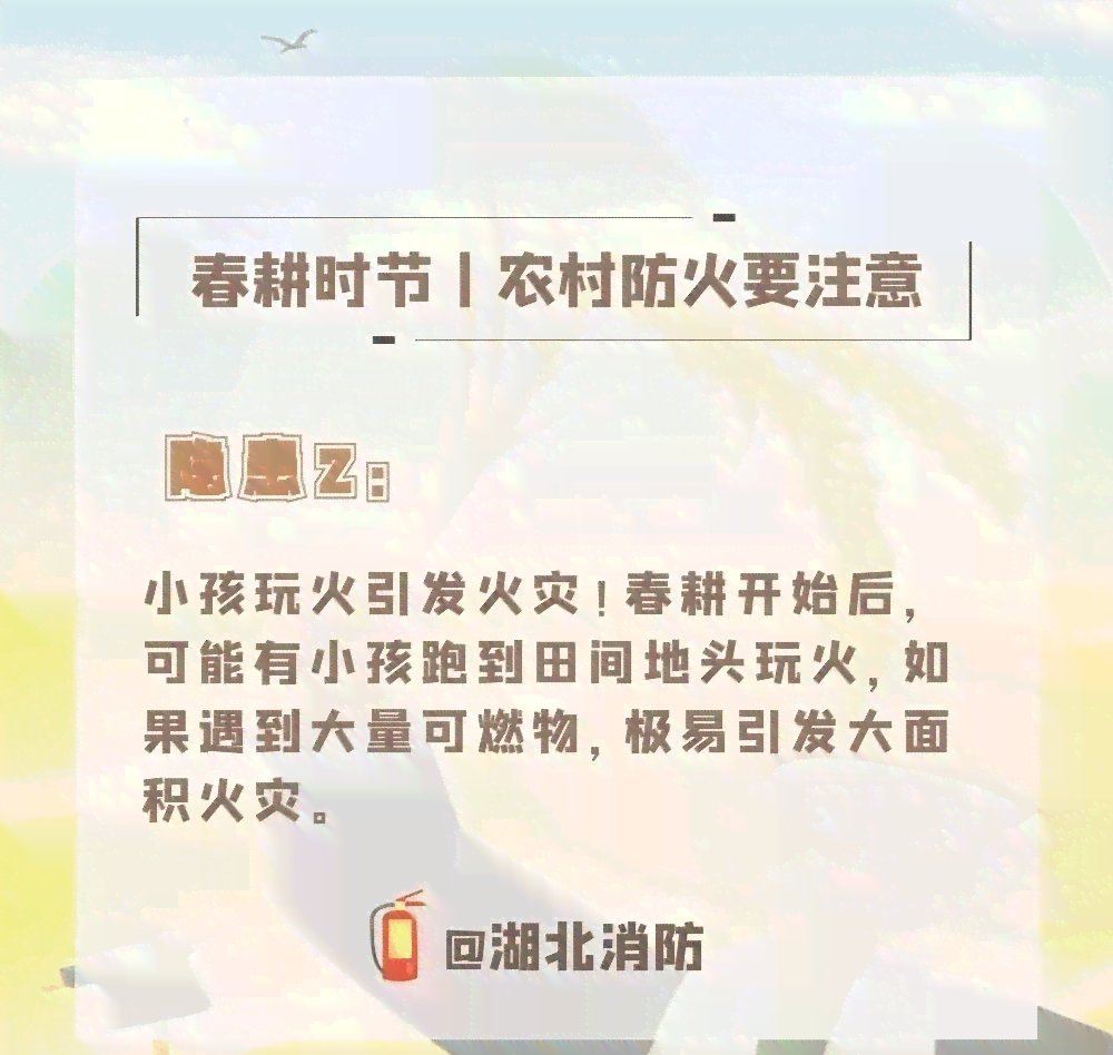 学生社会实践报告：全方位探讨防森林火灾策略与措