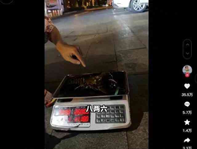 '三亚市海南伤残鉴定中心：在哪个部门进行伤残鉴定？'
