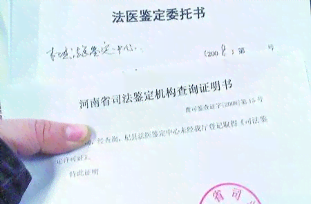 上城区伤残鉴定中心：全面提供伤残等级评定与法律咨询服务