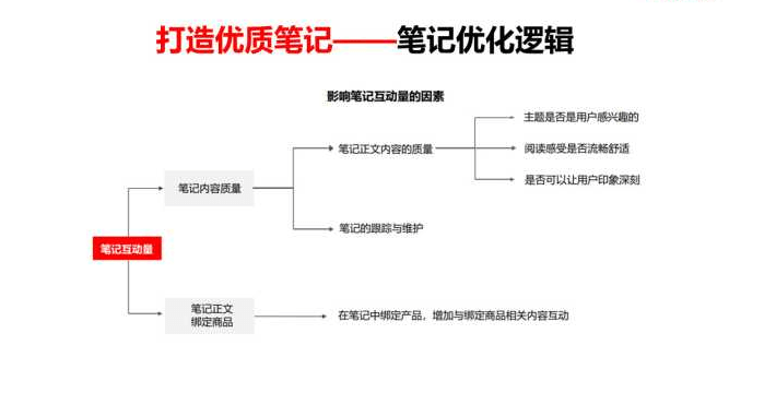 全面解析：面相AI报告深度解读与常见问题解答
