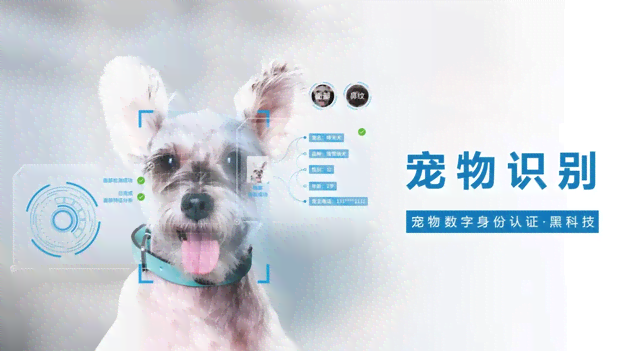 智能动物识别系统：一站式开放平台助力精准识别