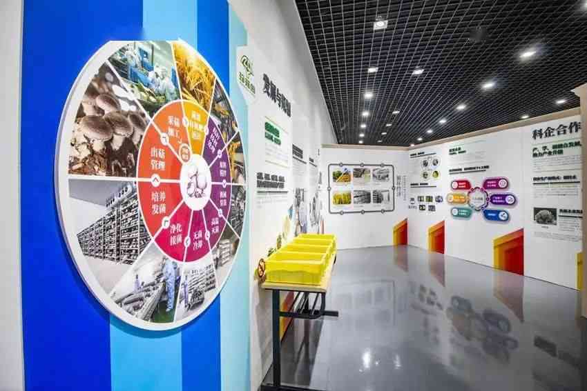 广告公司成功案例精选：涵多元行业与创意解决方案的全面展示