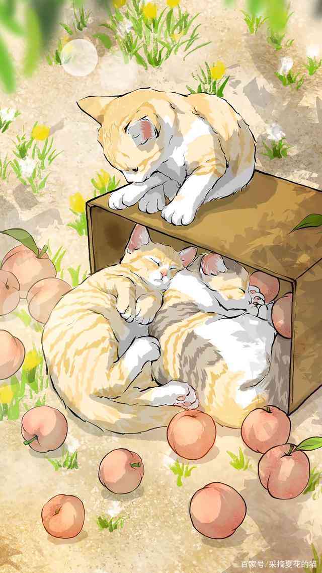 馨猫咪集：触动心灵的感人故事与插画精选