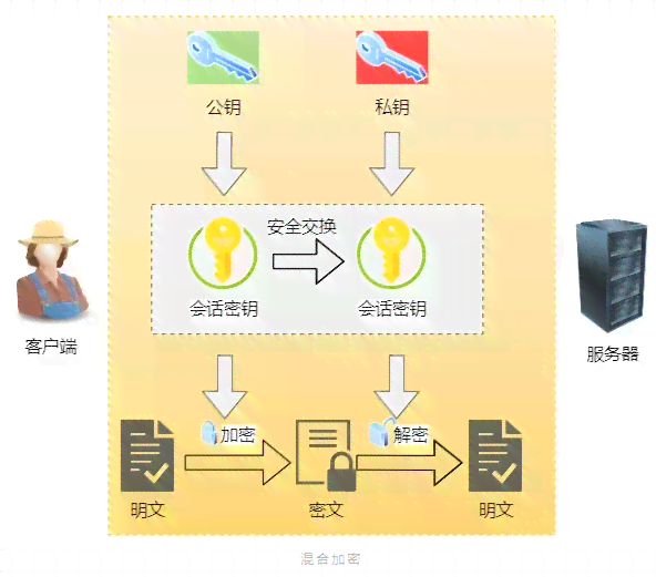 探究秘塔写作工具的安全性：使用过程中的数据隐私保护与泄露风险分析