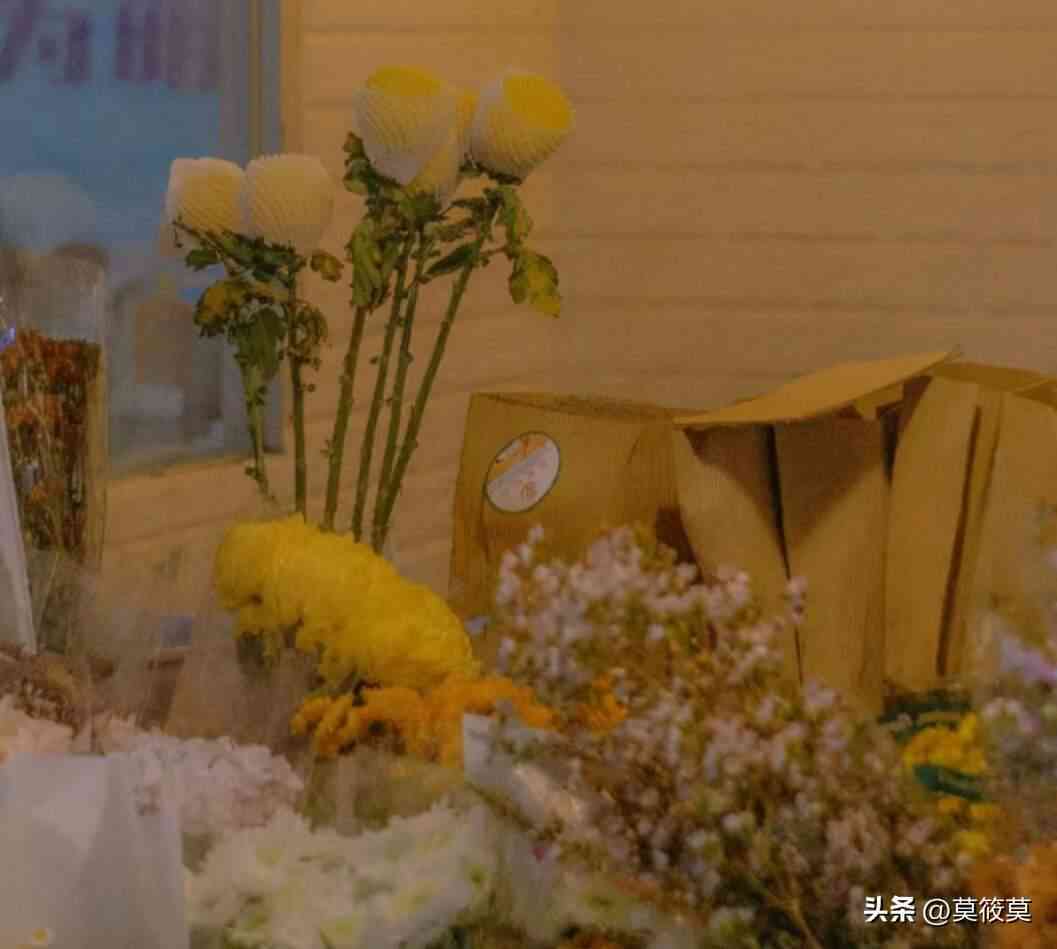 发照片的文案：柔文艺说说句子集锦