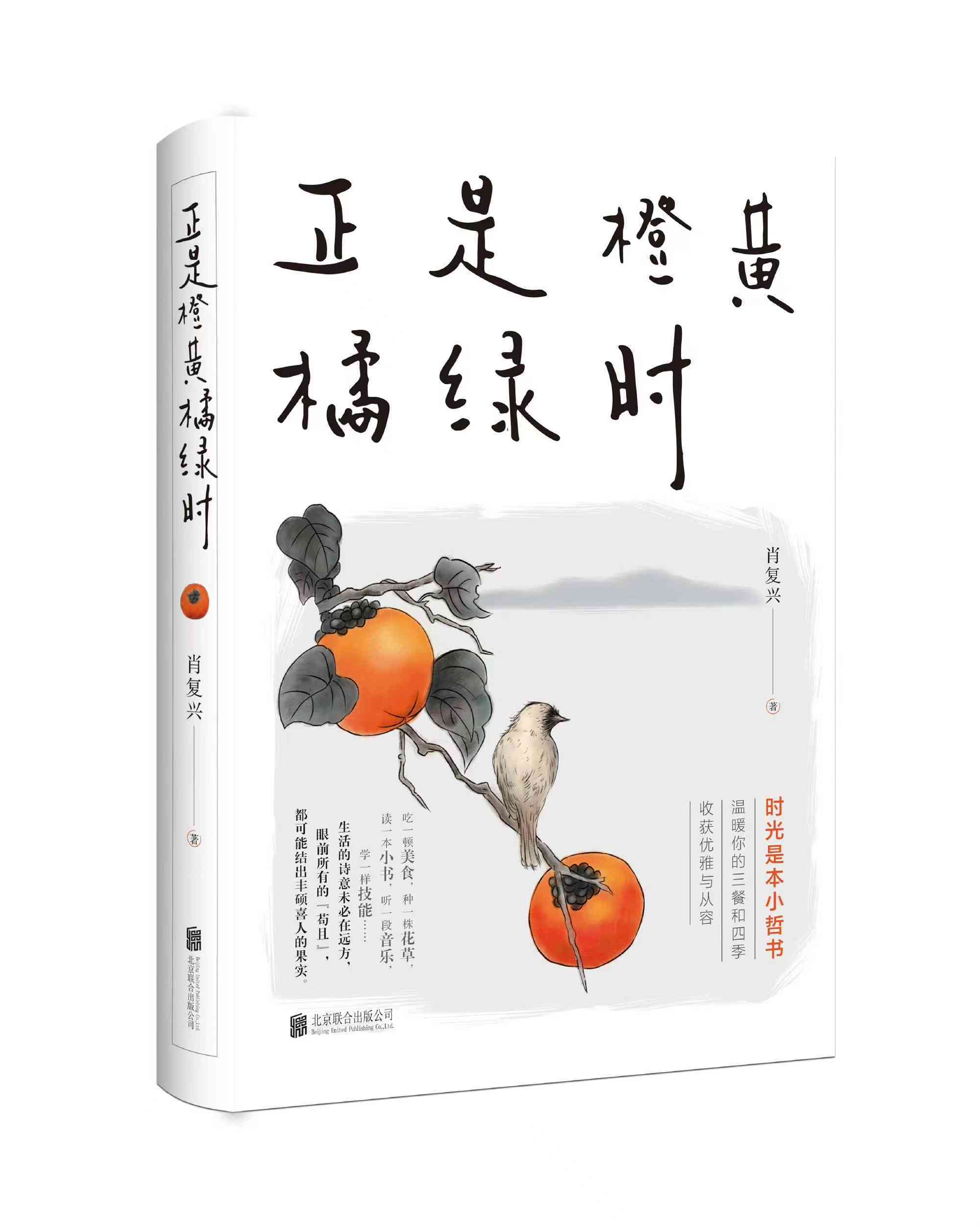 橙意盎然：橙子作家的小说创作风采