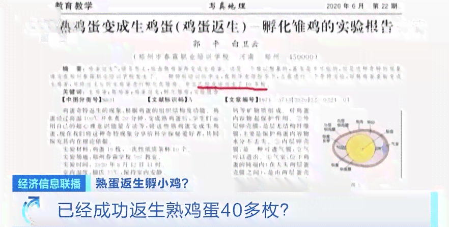 代写一篇论文开题报告大概需要多少费用