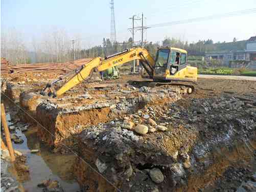 松鼠打地基的六大原理：揭秘其独特技巧与科学基础