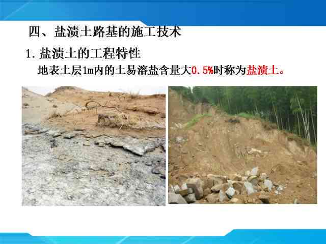 松鼠打地基的六大原理：揭秘其独特技巧与科学基础