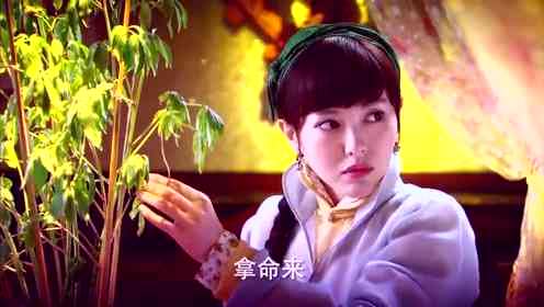揭秘木木子真实身份：木木与木子联手打造热门视频背后的故事