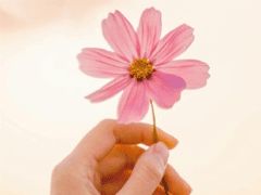抖音文案短句干净治愈爱情：唯美柔爱情短句