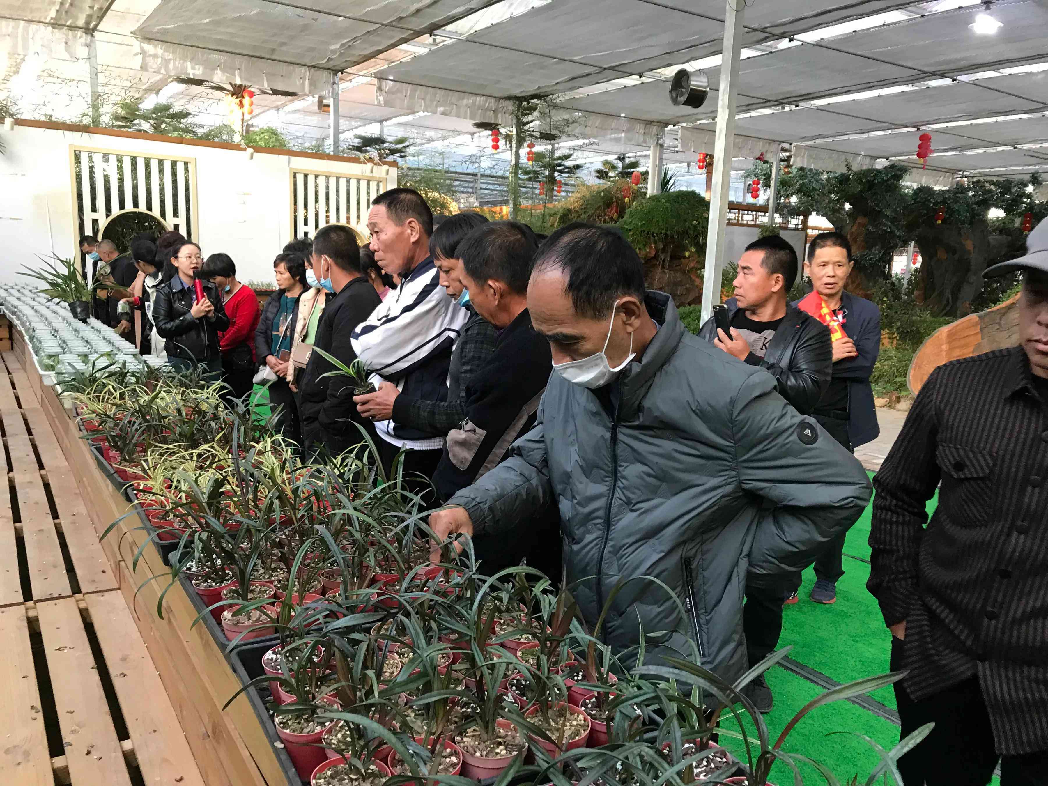 一键生成实践报告：在线写作课程设计实训实报告模板与范文精选总结汇报