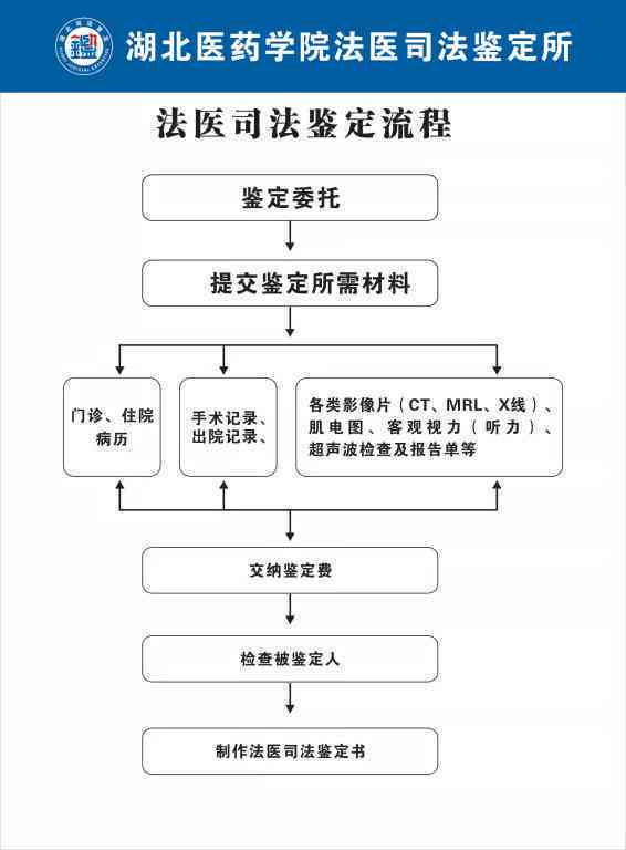兰溪司法鉴定中心全方位服务指南：权威鉴定、流程解读与常见问题解答