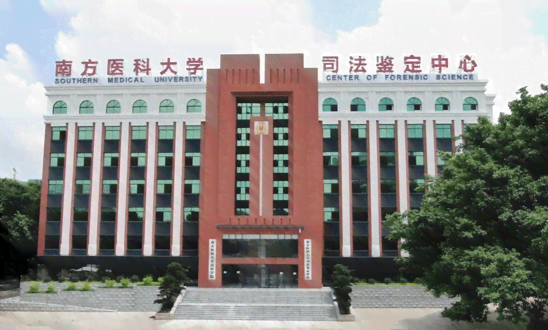 南方医科大学工伤认定中心