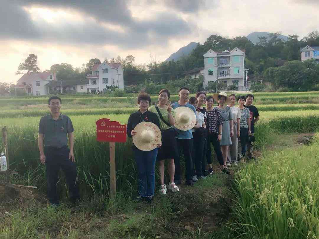 同学助力：我的作文范文写作指南