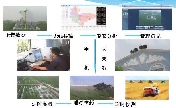 AI精准肥技术全面应用解析：实验报告与农田效益提升策略研究