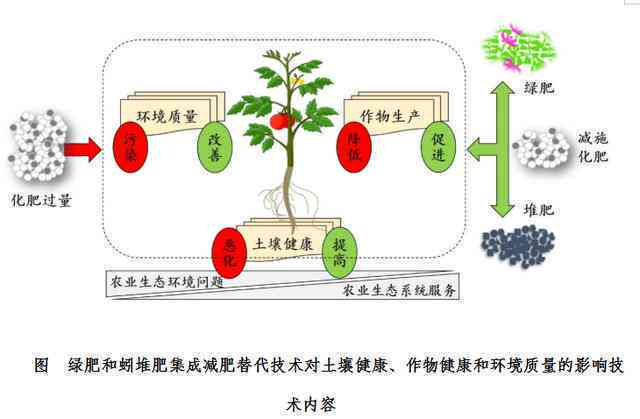 什么原理让精准肥成为可能？