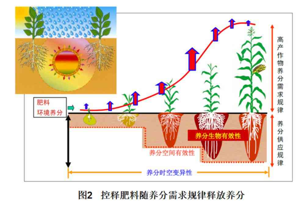 什么原理让精准肥成为可能？