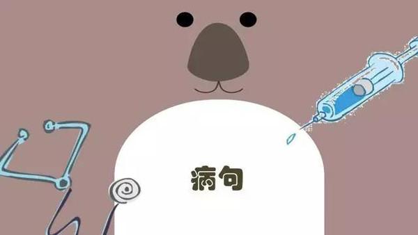 句子沉迷症：文字的魔力陷阱