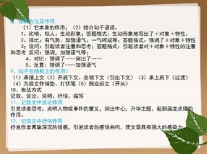 全方位解析：写作训练技巧、方法与实践指南